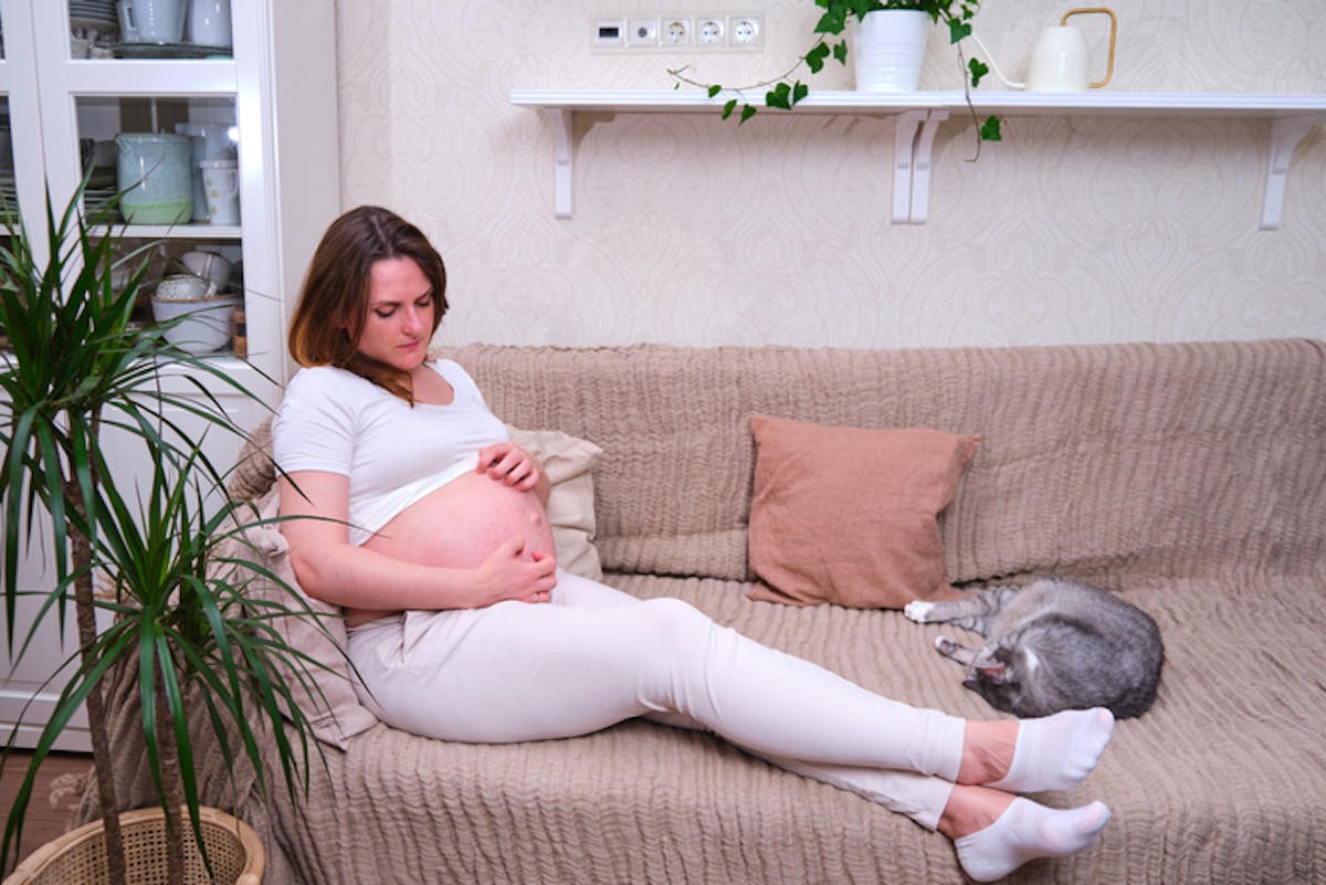 Alerte Grossesse : Doit-on S’alarmer des Boutons sur le Ventre 
                Boutons sur le ventre durant la grossesse : faut-il s'inquiéter ?